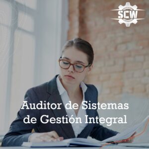 Auditor SGI